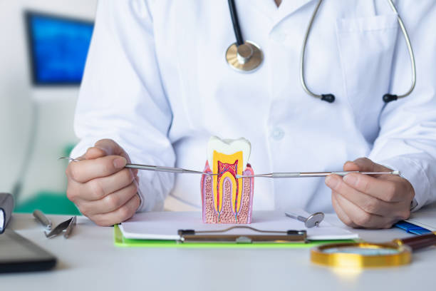 Best Broken or Cracked Tooth Emergency Dentist in Millersburg, PA
